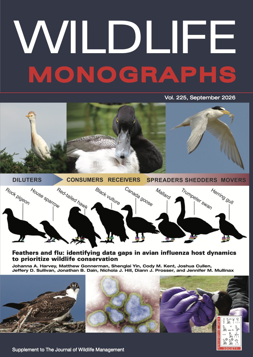 Cover of Wildlife Monographs Volume 225, September 2026: Feathers and flu: identifying data gaps in avian influenza host dynamics to prioritize wildlife conservation. Silhouettes of rock pigeon, house sparrow, red-tailed hawk, black vulture, Canada goose, mallard, trumpeter swan, and herring gull arranged along a gradient from diluters to movers.